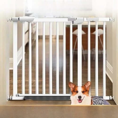 Baby safety gate - gate, dog