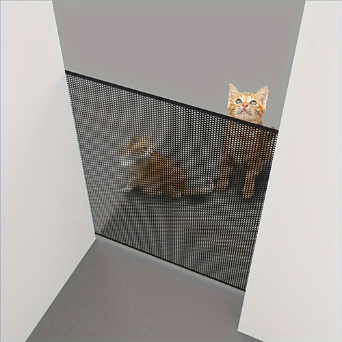 Retractable gate baby dog - retractable,